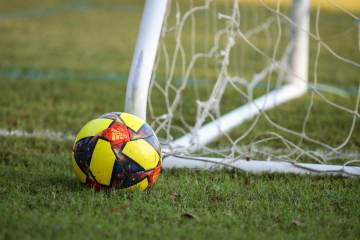 樊振东强势爆发！连拿2分带队杀入决赛，今晚冲击队史三冠王（配图示意）