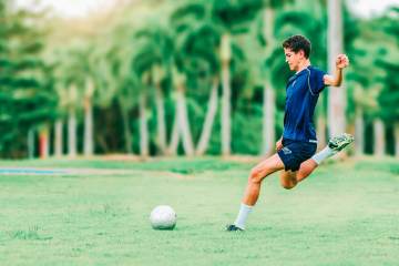 枪迷塞尔赫斯特公园朝圣，客队区观赛体验拉满（配图示意）